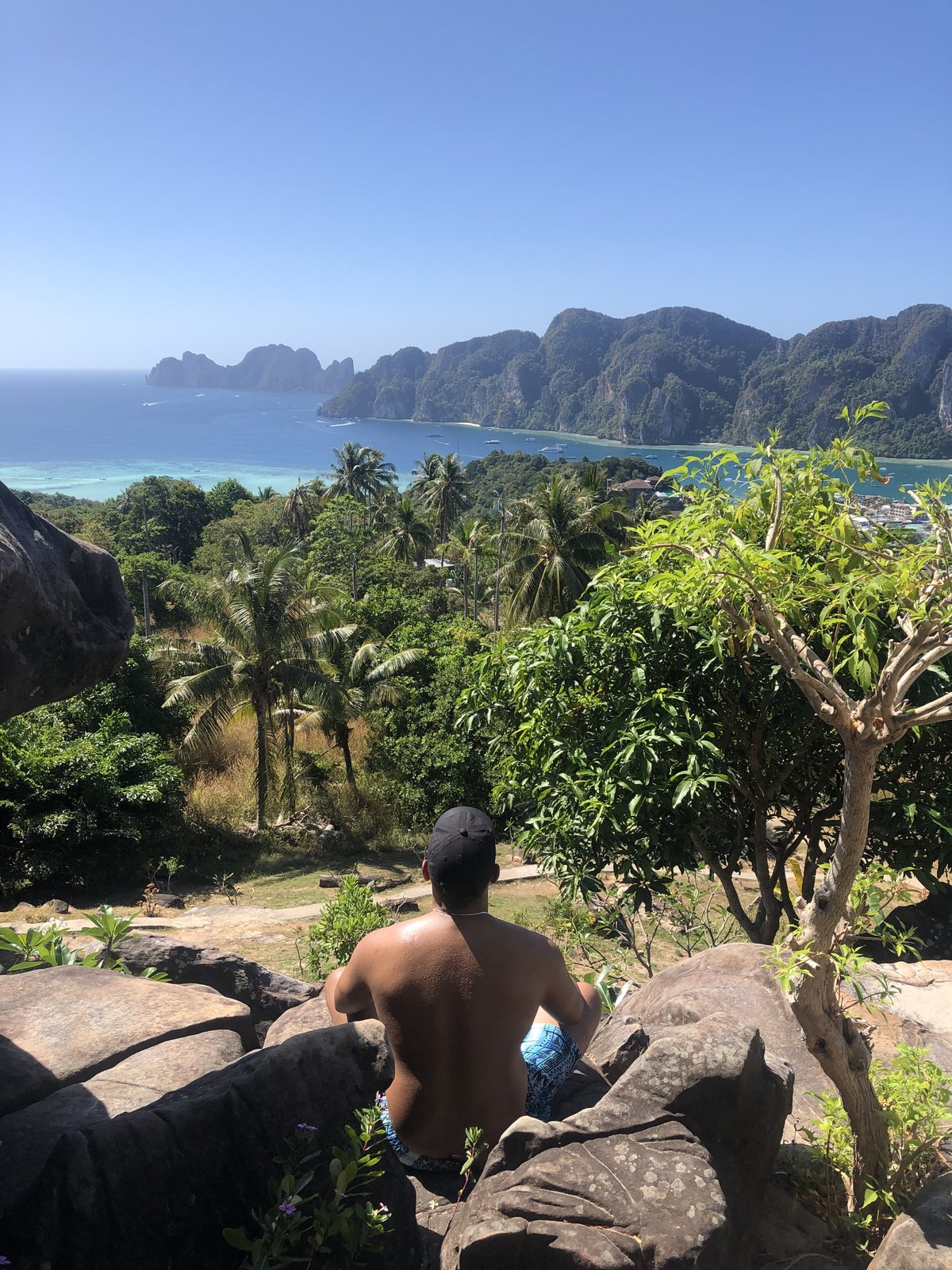 Jared sitting on a rock with his back to the camera, looking out over an island bay, January 2020